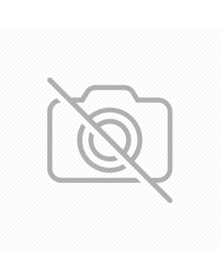 ESSEN德系工藝, 防身手電筒{買一送一。再送一支電弧手電筒。